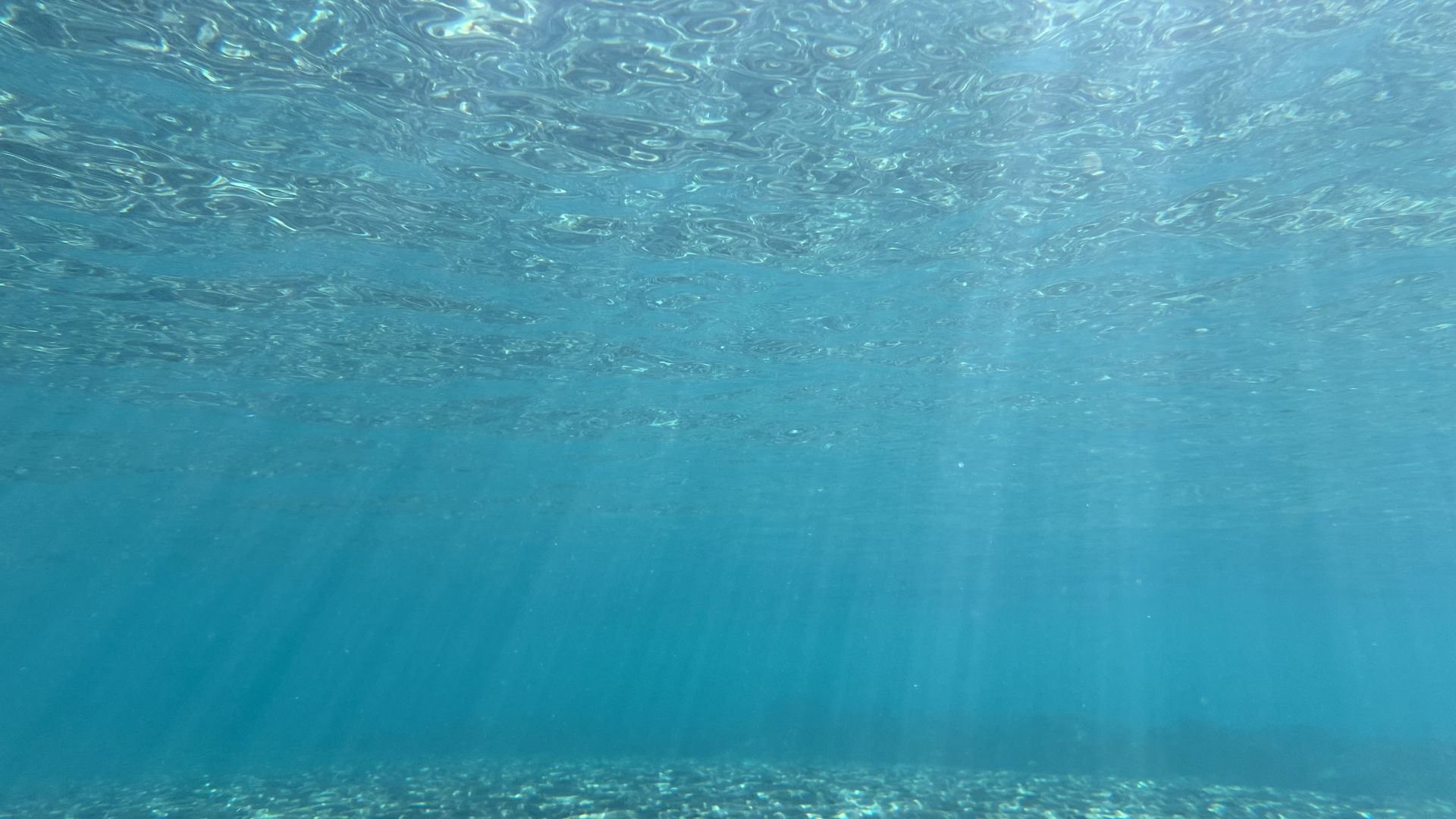 Dacci oggi il nostro mare quotidiano